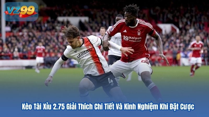 Kèo Tài Xỉu 2.75 Giải Thích Chi Tiết Và Kinh Nghiệm Khi Đặt Cược 8 Kèo Tài Xỉu 2.75 Giải Thích Chi Tiết Và Kinh Nghiệm Khi Đặt Cược