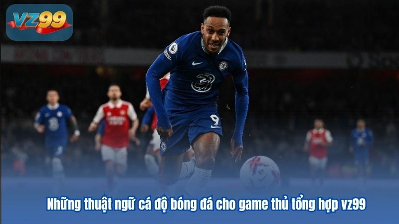Những thuật ngữ cá độ bóng đá cho game thủ tổng hợp 6 Những thuật ngữ cá độ bóng đá cho game thủ tổng hợp vz99
